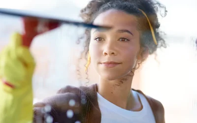 Window Cleaning Tips