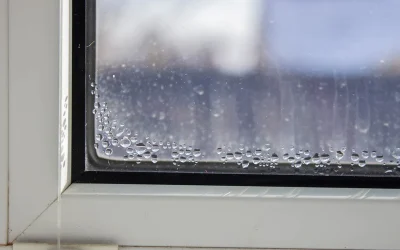 6 Warning Signs That Your Home Needs New Windows