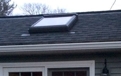 Roof Moss Buildup Complications and the Zinc Strip Solution