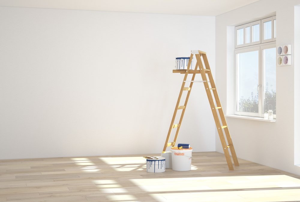 Spray, Roll, or Brush? What do the Professionals Use to Paint Your Home?