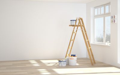 Spray, Roll, or Brush? What do the Professionals Use to Paint Your Home?