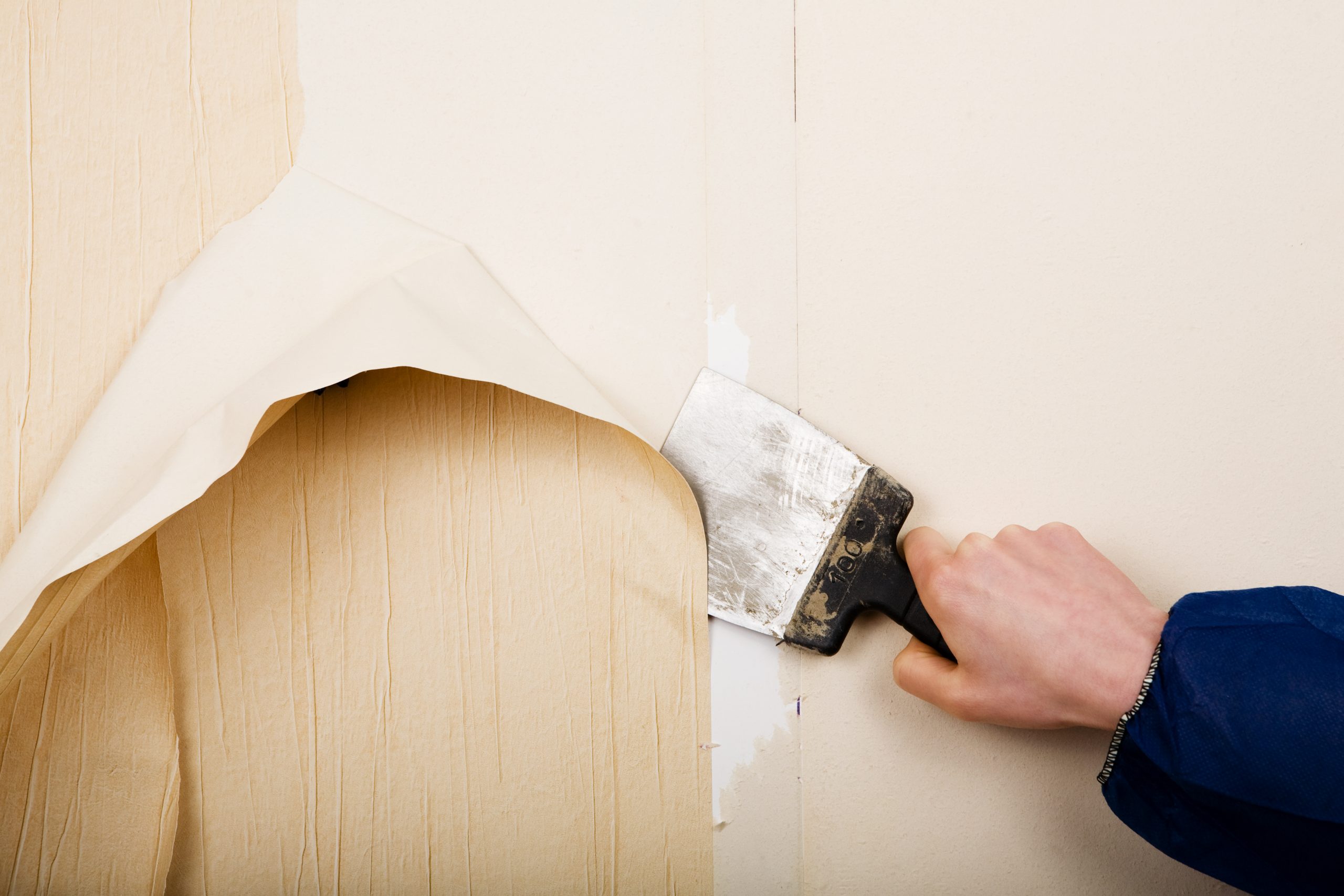 Removing Your Old Wallpaper