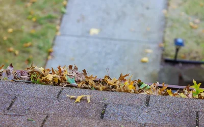 How To Clean and Inspect Your Gutters for Fall